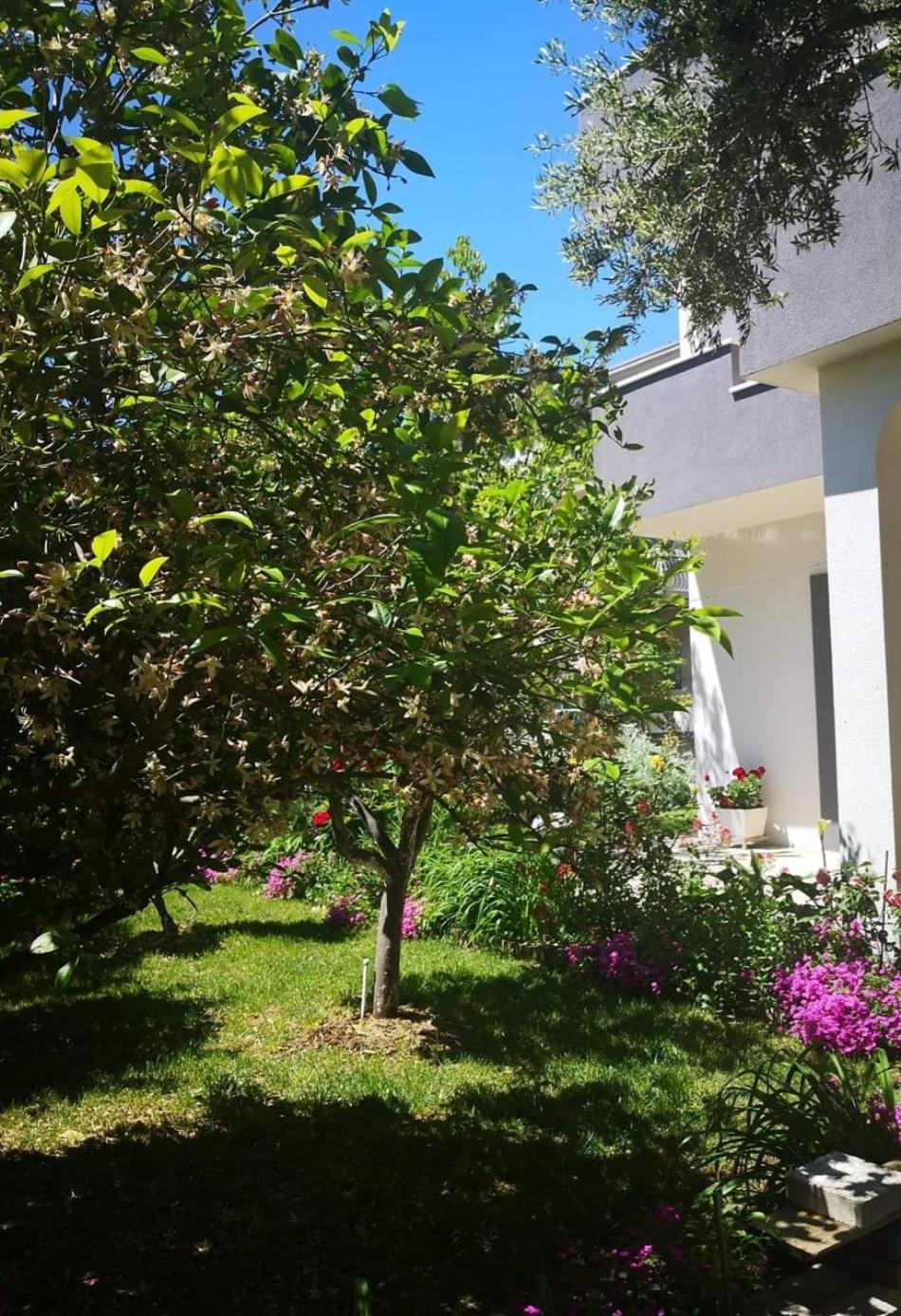 Apartmani Dianna Kaštela Εξωτερικό φωτογραφία